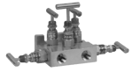 main_IM_Model_505DM_5_Valve_Manifold.png